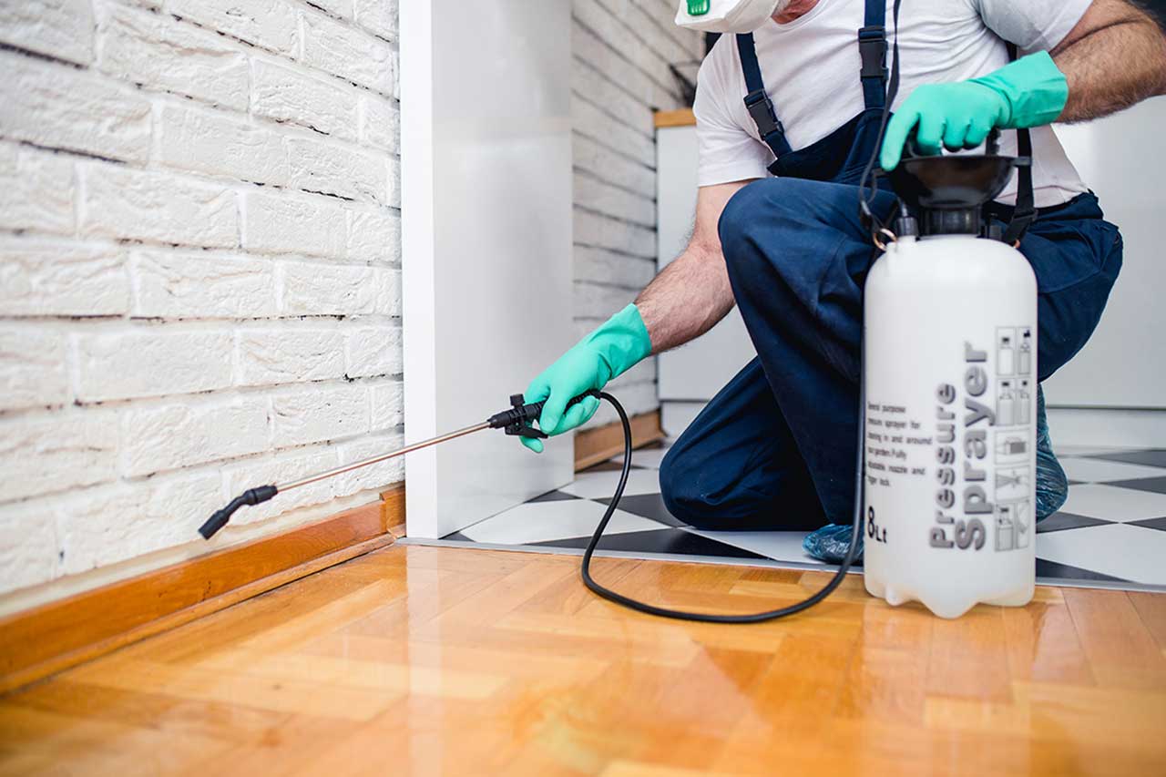 How to Find Reliable Pest Control Services in Your Area