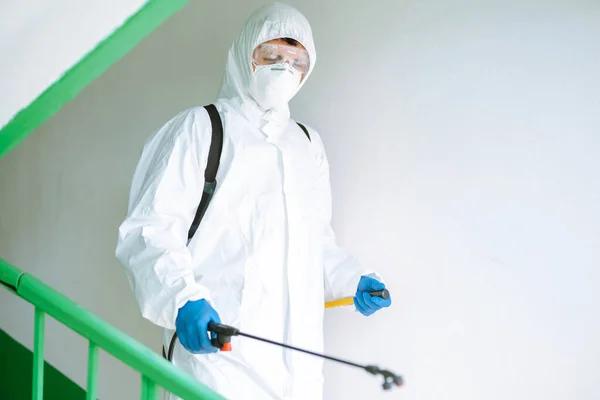 Sydney's Trusted Pest Control Solutions for Commercial Properties